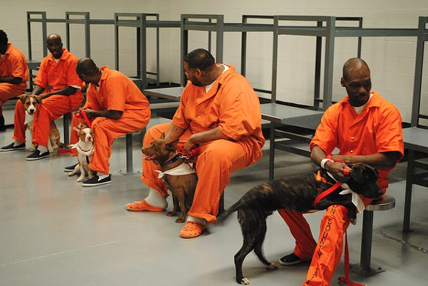 圖一-受刑人跟他們負責訓練的狗是24小時朝夕相伴，狗就睡在他們的床邊.png