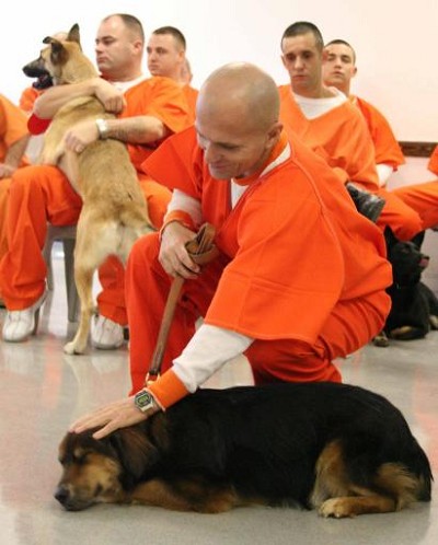 圖二-受刑人在訓練狗的過程中，重新感受到被愛及被需要以及目標達成時的成就感.jpg