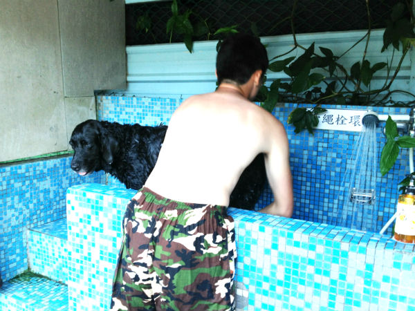 洗狗狗的地方有溫水， 冬天主人也不用冒著被冷水噴到的風險來洗狗了