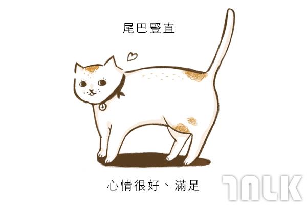 Cat單圖01.jpg