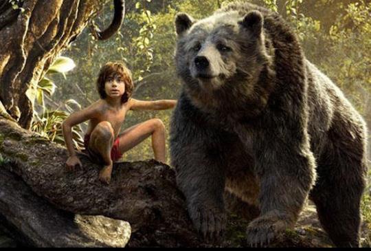 【《與森林共舞》奇幻森林玩轉既定印象，愛上一隻棕熊，但我家沒有森林。】
