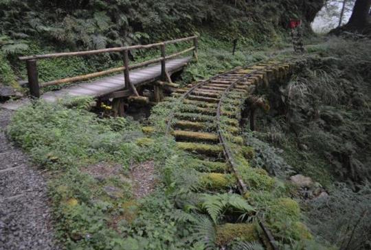【宜蘭．太平山】見晴懷古步道 - 全球最美28條小路之一