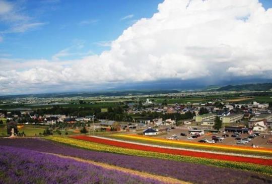 『北海道、美瑛、富良野』夏季薰衣草私房賞花景點大公開
