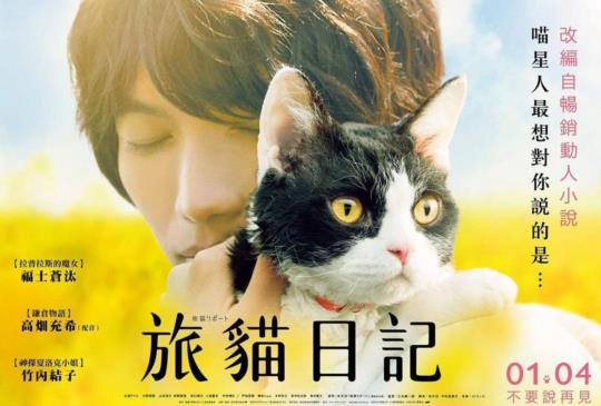 今年冬天必看必哭的貓電影「旅貓日記」