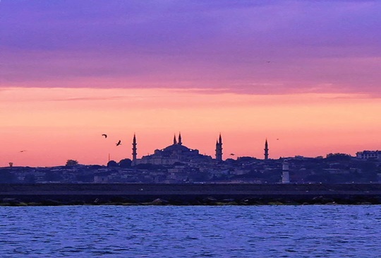【土耳其】一起來探索伊斯坦堡的貓城