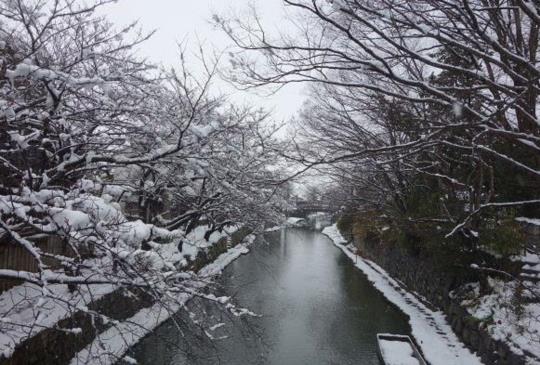 【日本】深度漫遊琵琶湖：美麗的水鄉「近江八幡」