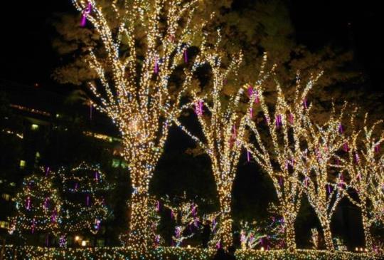奔向【東京】華麗絢爛冬之舞台～精選五大聖誕燈飾活動