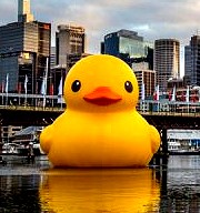 你知道黃色小鴨游過哪個城市嗎？下一站在高雄！