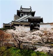 【福知山市】秘境！台灣人都不知道的5個京都神秘景點！