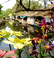 曼谷邦南彭水上市場：當地人熱愛去的景點