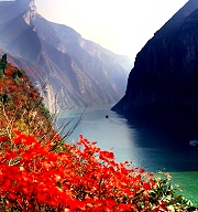 重慶獲全球最佳旅遊目的地殊榮 來台力推溫泉山水之旅