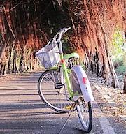 全台7大最美濱海自行車道