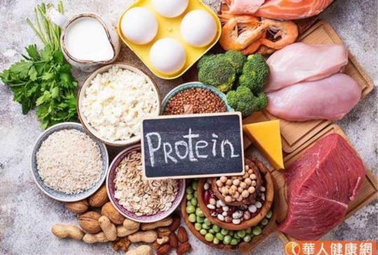 早餐吃夠蛋白質，有助減少脂肪合成？專家：這樣吃正確分配不NG