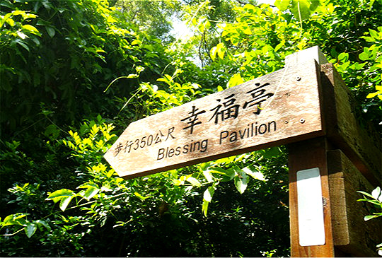 步行350公尺的幸福？【十八尖山公園。幸福亭】。新竹市的後花園。