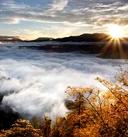 台灣好行阿里山線：日出雲海之森林漫旅