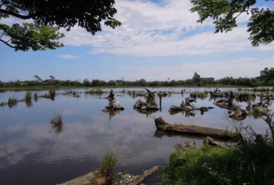 探訪【羅東林業文化園區】美麗的水世界