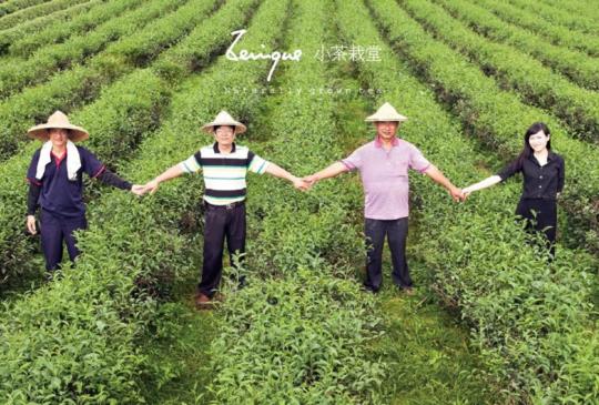 【榮獲2018 法國AVPA「世界茶葉大賽」大獎的台灣茶品牌】