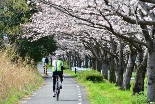 【在日本騎腳踏車前一定要知道的七件事】