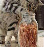 【我家也有貓大廚】DIY寵物食譜：香噴噴零食篇-雞肉乾