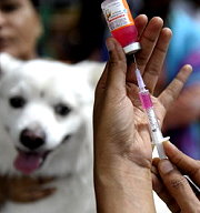 [關於狂犬病，你不能不知道 其之一]狂犬病可以到哪打疫苗？