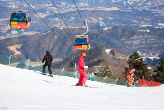 滑雪、賞櫻不必再等 飛韓國來趟命定的旅行