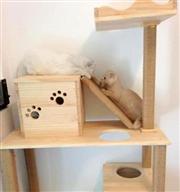 【貓跳台DIY】打造自己的貓咪城堡