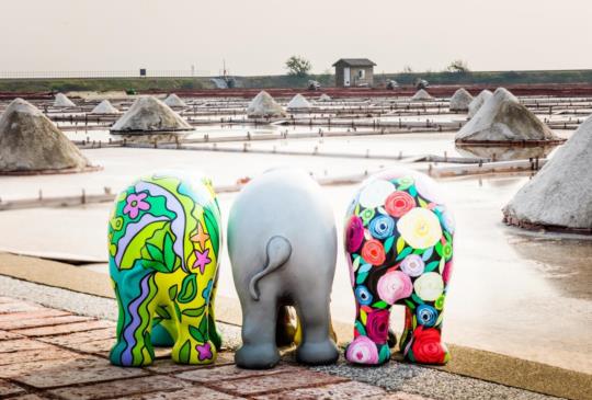 【為亞洲象發聲！跟著「大象巡遊」台灣專屬手繪小象一起遊台灣！】