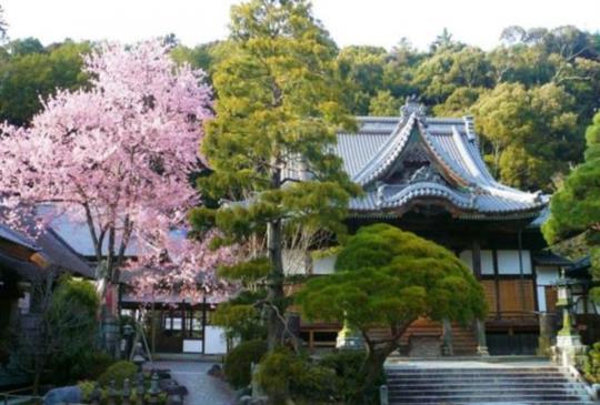【結衣迷不要錯過！日劇「月薪嬌妻」新婚旅行旅館大公開】