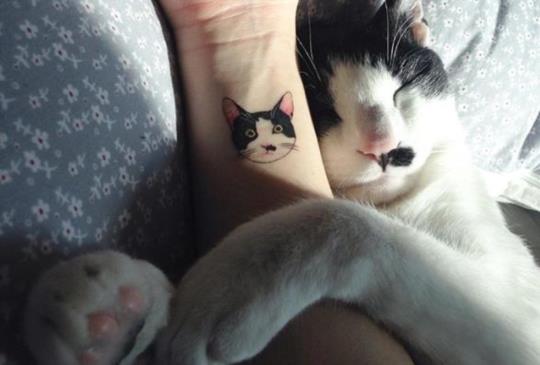【貓咪刺青】把你的樣子永遠留在我身上