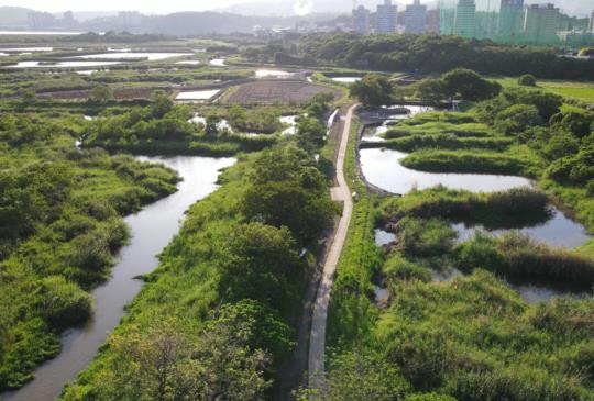 台灣濕地摘星！關渡自然公園獲選「WLI星級濕地中心」
