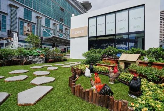 期間限定綠化建築 Sony BRAVIA House 於台北 101 盛大開幕