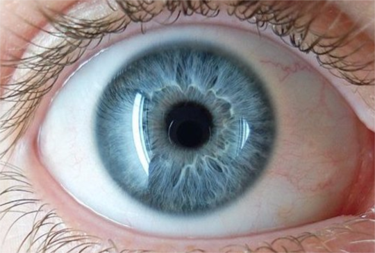 植入仿生水晶體改善視力，新技術只要 8 分鐘就能解決近視困擾