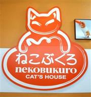 《東京池袋ねこぶくろ CAT'S HOUSE》在日本與喵星人相遇