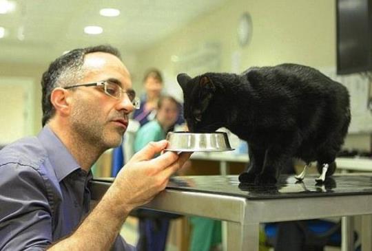 【世間有愛】愛心醫生幫貓咪裝上完美義肢，感人熱淚