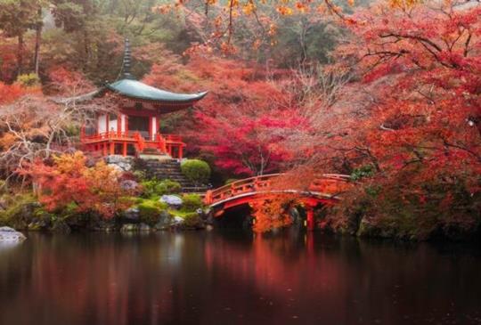 【你拜拜的方式正確嗎？圖解日本神社的正確參拜方式】