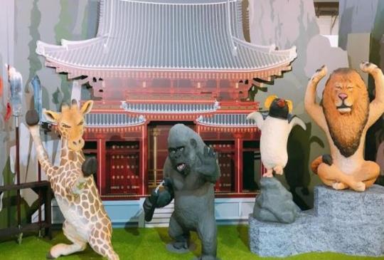 Animal Life《動物也瘋狂》特展 今年暑假來華山跟著動物們一起瘋狂
