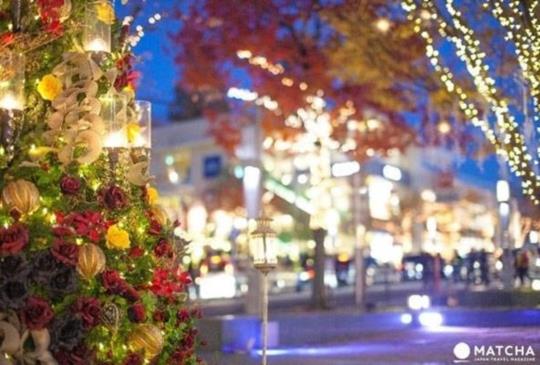 【來日本度過一個特別的聖誕節吧 欣賞燈飾秀、溜冰】