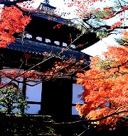 京都精選9大賞楓景點 深秋驚豔視覺之旅