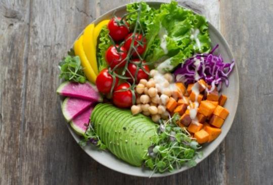 為什麼你的身體適合吃蔬食？來聽聽專家怎麼說？