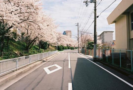【日本‧輕鬆自駕遊的7大攻略，體驗不一樣的日本】~攻略特搜