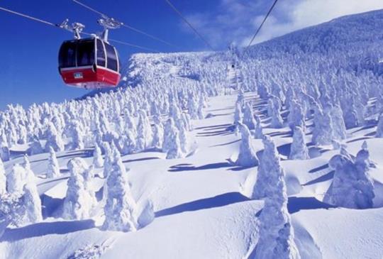 【體驗銀白色的世界，精選日本雪花紛飛的絕美雪祭】