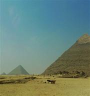一個女生在埃及旅行好嗎？