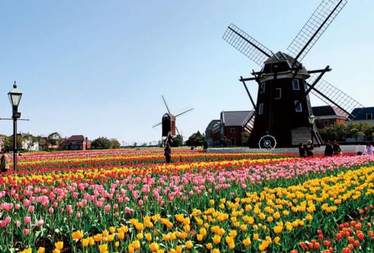 【Go Dutch＝去荷蘭玩？】８組含有不同國家的特色俚語你會幾個？