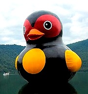 15公尺紅面鴨在【花蓮太平洋燈會】陪民眾過農曆新年