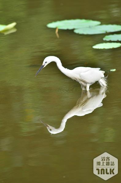 DSC_5994.jpg