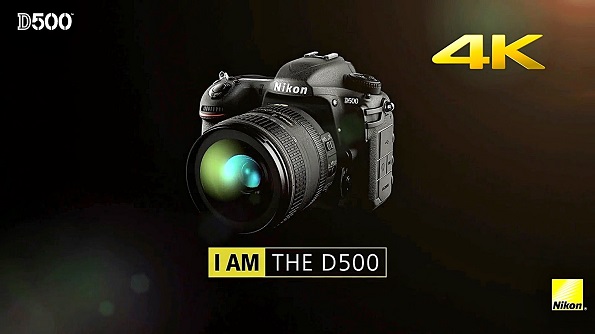 D500-1.jpg