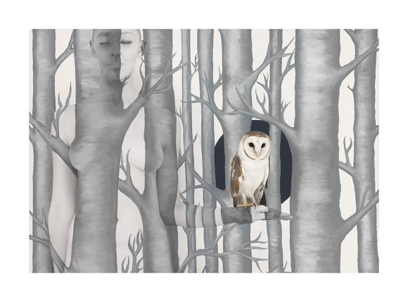 Emma Hack(艾瑪赫克)來台展出作品1-Owl in Woods III,2012(Emma