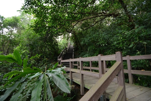 富_2