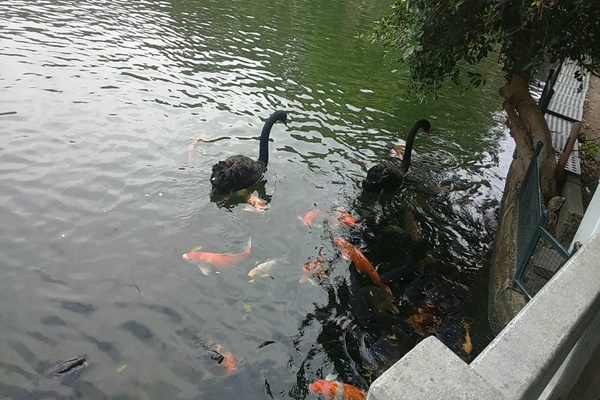 至_10
