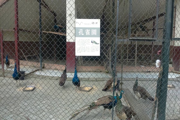 神去_3